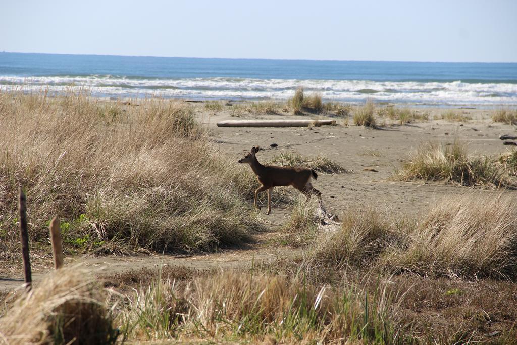 Quinault Beach Resort & Casino Ocean City Buitenkant foto
